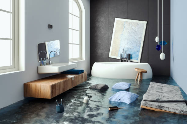 Best Water damage restoration process  in Chenoa, IL