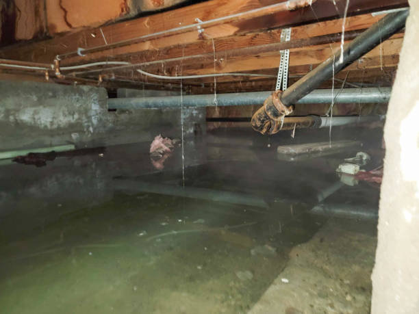 Water damage restoration process in Chenoa, IL