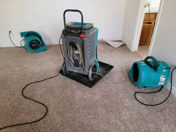  Chenoa, IL Water damage restoration Pros