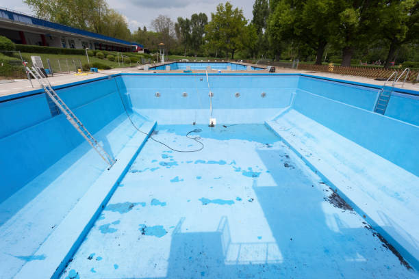 Best Professional water damage repair  in Chenoa, IL