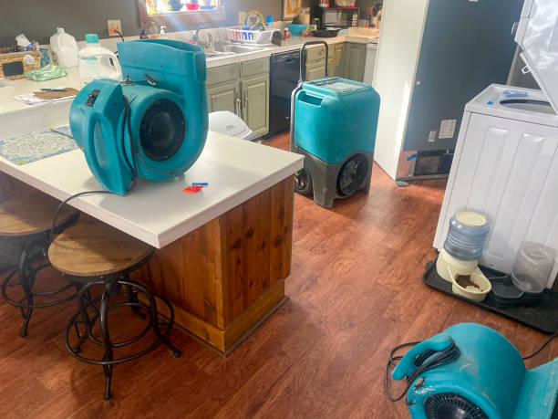 Best Local water damage restoration  in Chenoa, IL