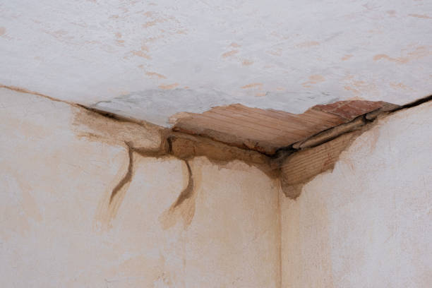 Best 24-hour water damage restoration  in Chenoa, IL