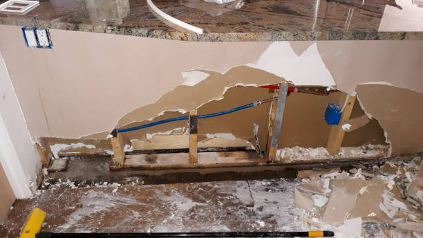 Best Water damage restoration near me  in Chenoa, IL