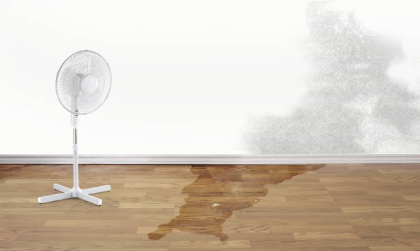 Best Commercial water damage restoration  in Chenoa, IL