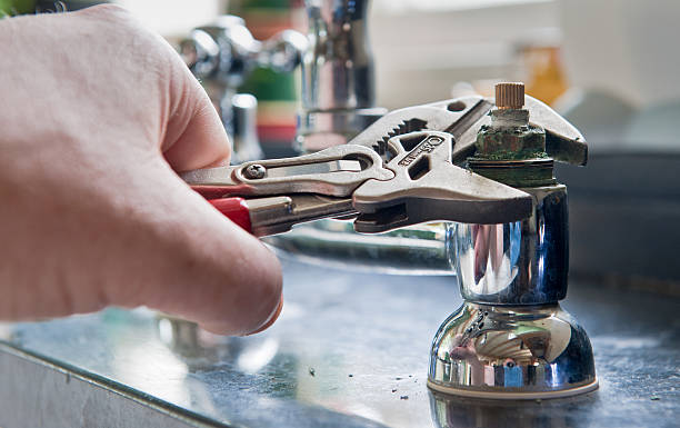 Best Residential water damage restoration  in Chenoa, IL