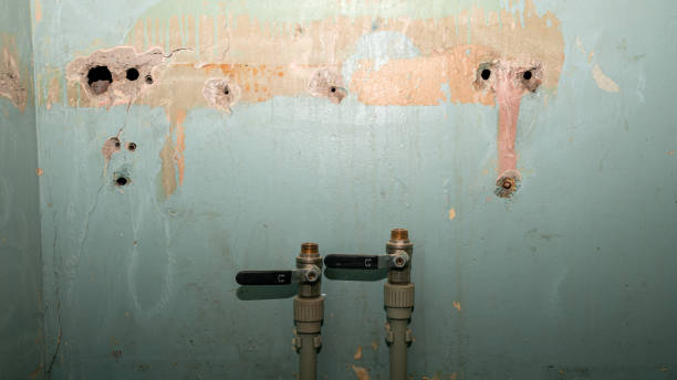 Water damage restoration insurance claims in Chenoa, IL