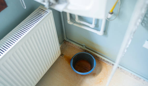 Best Flood damage cleanup  in Chenoa, IL