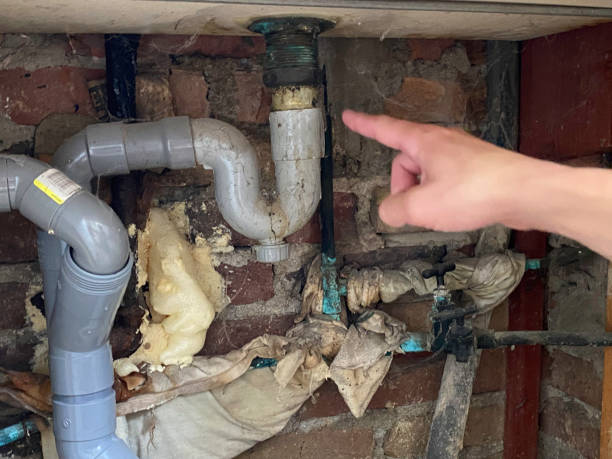 Best Water damage restoration experts  in Chenoa, IL