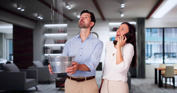 Best Flood damage cleanup  in Chenoa, IL